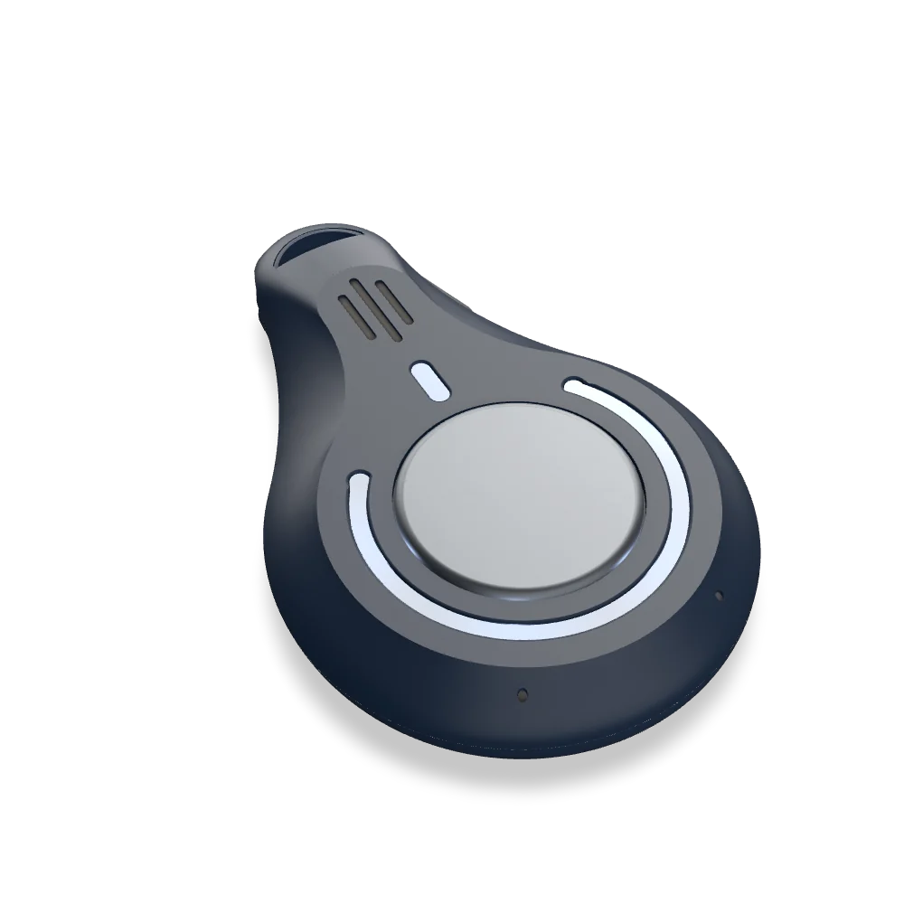 A 3D model of the Lira pendant. Drag to turn it.